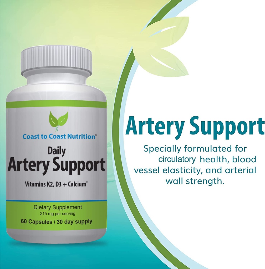 artery-support-artery-circulation-supple-3.jpg