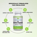 artery-support-artery-circulation-supple-2.jpg