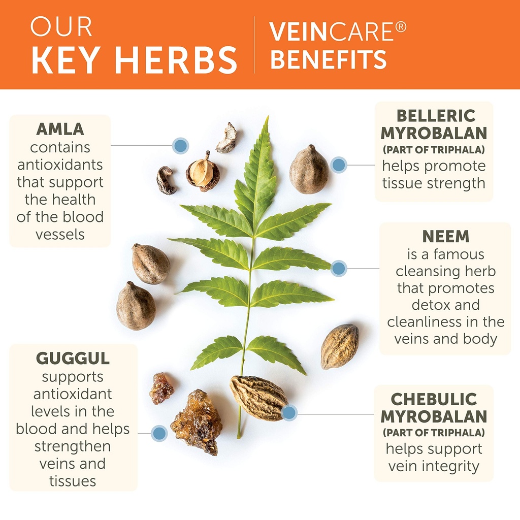 himalaya-veincare-herbal-vein-support-su-4.jpg