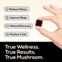 truemushroom-sleep-support-mushroom-gumm-4.jpg