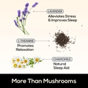 truemushroom-sleep-support-mushroom-gumm-5.jpg