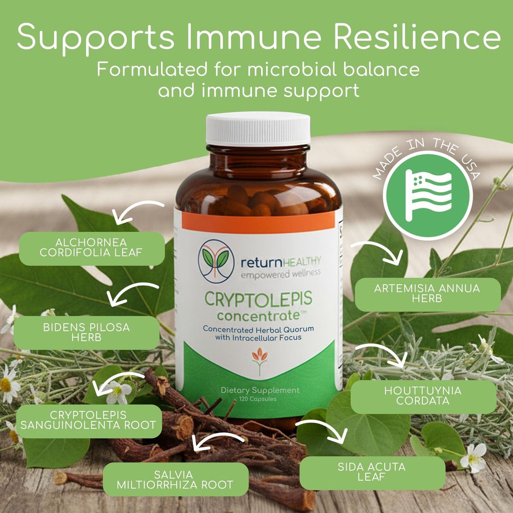cryptolepis-concentrate-immune-support-w-2.jpg
