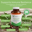 cryptolepis-concentrate-immune-support-w-2.jpg