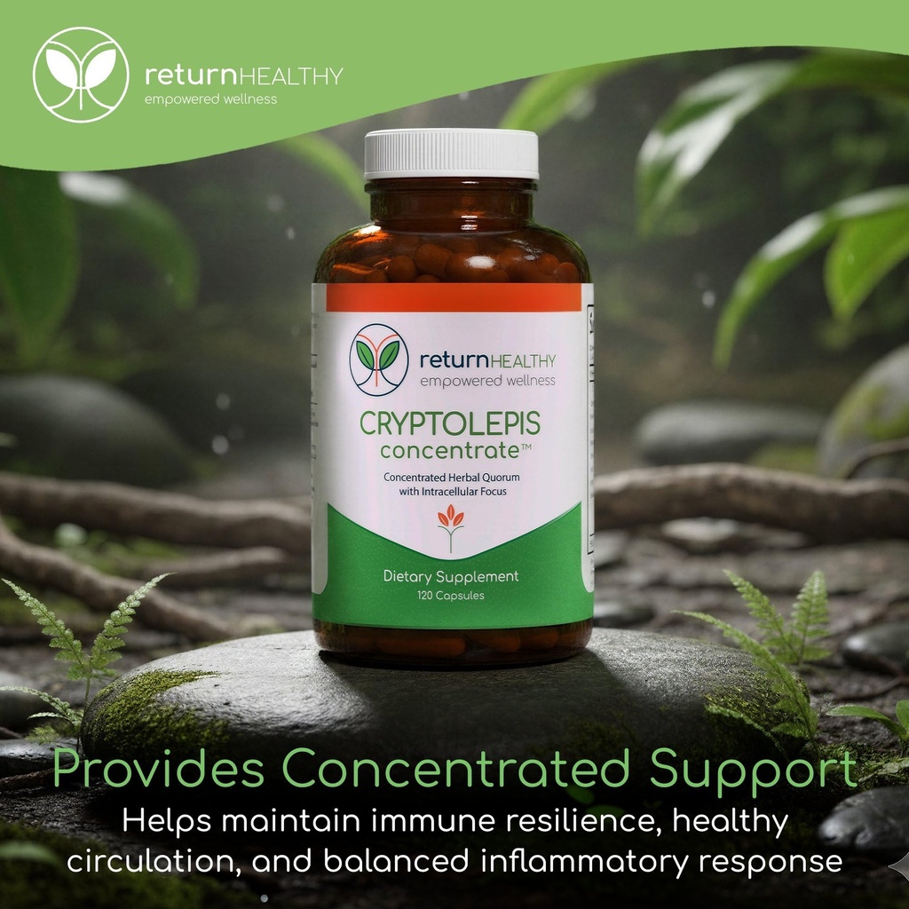 cryptolepis-concentrate-immune-support-w-6.jpg