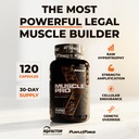 enhanced-labs-muscle-pro-5-in-1-premium--2.jpg