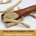 100-natural-shatavariasparagus-racemosus-4.jpg