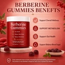 berberine-gummies-500mg-blood-sugar-supp-2.jpg
