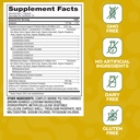immunity-probiotic-with-lactobacillus-da-2.jpg