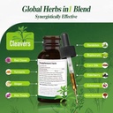 cleavers-herb-extract-organic-drops-for--4.jpg