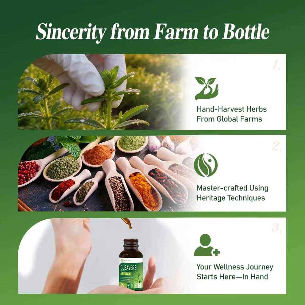 cleavers-herb-extract-organic-drops-for--6.jpg