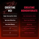 creatine-hcl-gummies-5000-mg-complex-300-5.jpg