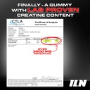 iron-labs-nutrition-creatine-monohydrate-4.jpg
