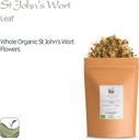 saint-jhons-wort-organic-herb---hypericu-4.jpg