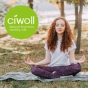 gui-pi-wan-herbal-teapills-960-pills-60--6.jpg