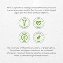 secrets-of-the-tribe-sarsaparilla-tinctu-6.jpg