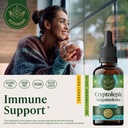 herbamama-cryptolepis-tincture-vegan-cry-2.jpg