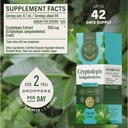 herbamama-cryptolepis-tincture-vegan-cry-3.jpg