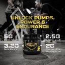 hosstile-hosstility-amped-high-stim-pre--5.jpg