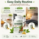 1-bottle-lumine-organics-berberine-with--6.jpg