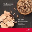 health-concerns-eight-treasures-menstrua-3.jpg