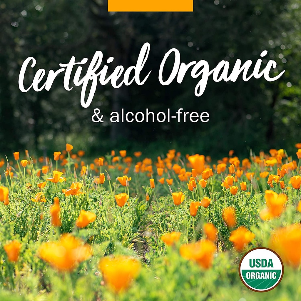 herb-pharm-certified-organic-stoneroot-b-5.jpg