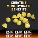 nutravita-nsf-certified-creatine-gummy-c-4.jpg