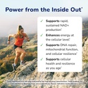 prohealth-longevity-essentials-nmnh-500--3.jpg