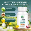 lymphatic-drainage-supplements-with-dand-4.jpg