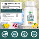 lymphatic-drainage-supplements-with-dand-2.jpg