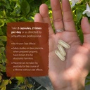 dragon-herbs-deer-placenta-capsules-deer-4.jpg