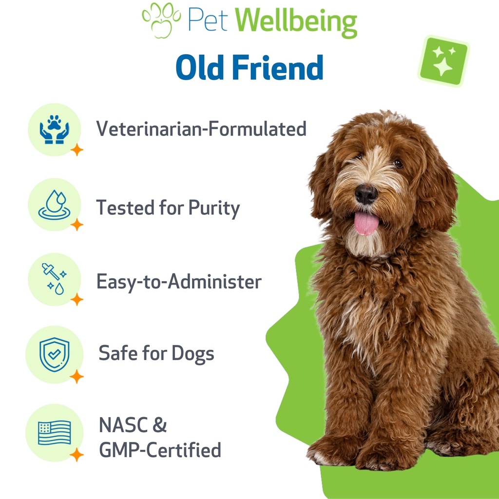 pet-wellbeing-old-friend-for-senior-dogs-5.jpg