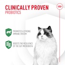 royal-canin-probiotics-for-cats-digestiv-2.jpg