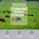 wellness-extract-bovine-colostrum-powder-2.jpg