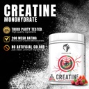 ekkovision-creatine-monohydrate-powder-m-2.jpg