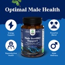 bundle-of-pre-conception-male-fertility--2.jpg