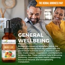 herbal-goodness-organic-mango-leaf-extra-5.jpg