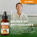 herbal-goodness-organic-mango-leaf-extra-6.jpg
