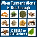 biologic-nutrients-turmeric-supplement-1-3.jpg
