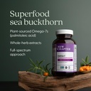 new-chapter-supercritical-omega-7-with-s-3.jpg