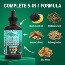 clean-nutraceuticals-sea-moss-drops-supp-4.jpg