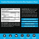 invigor8-creatine-gummies-non-gmo-creati-5.jpg