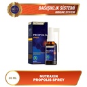 bee-propolis-naturals-spray-halal-bee-pr-3.jpg
