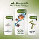 liquid-collagen-for-women-vegan-collagen-3.jpg