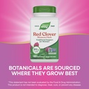 nature-s-way-red-clover-blossom-herb-tra-4.jpg