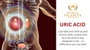 uric-acid-formula-kidney-herbal-suppleme-6.jpg