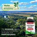 fito-medic-s-green-lipped-mussel-green-l-6.jpg