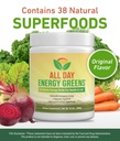 ivl-all-day-energy-greens-supplement-pow-5.jpg