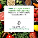 paradise-herbs-orac-energy-greens-apple--5.jpg