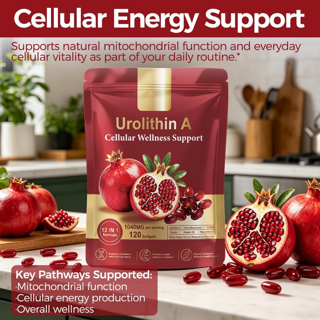 urolithin-a-supplement-with-trans-resver-5.jpg