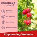 longlifenutri-rhodiola-rosea-500-mg-urol-5.jpg